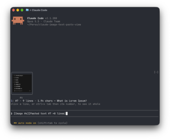 Claude Paste View